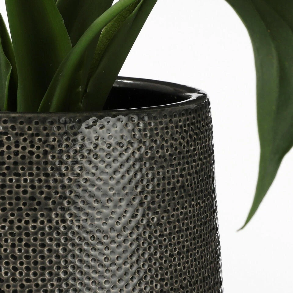 Bloempot Bruin Ribbels Keramiek Voor Kamerplant H16 X D18 Cm 4 Bloempot Bruin Ribbels Keramiek Voor Kamerplant H16 X D18 Cm - Afbeelding 2