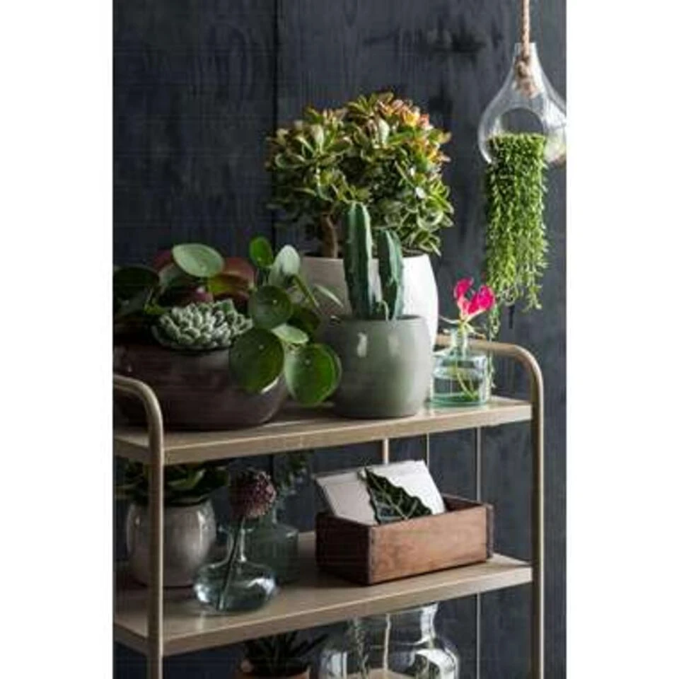 Mica Decorations Lester Bloempot Ø33 Cm Groen 4 Mica Decorations Lester Bloempot Ø33 Cm Groen - Afbeelding 2