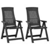 VidaXL Tuinstoelen 2 St Verstelbaar Kunststof Antracietkleurig 2 VidaXL Tuinstoelen 2 St Verstelbaar Kunststof Antracietkleurig -Tuinmeubel Winkel 1000006375