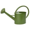 Decoris Gieter - Groen - Zink - 5 L -Tuinmeubel Winkel 1000014611