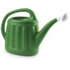 Hega Hogar Gieter - Groen - Kunststof - Met Broeskop - 5 Liter -Tuinmeubel Winkel 1000039428