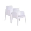 Garden Impressions Tuinstoel Box The Original Wit - 2 Stuks 1 Garden Impressions Tuinstoel Box The Original Wit - 2 Stuks -Tuinmeubel Winkel 1000040788