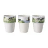 Wiebe Van Der Zee Giftset 3 Melkbekers 26 Cl. -Tuinmeubel Winkel 1000055163