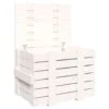 VidaXL Opbergbox 58x40,5x42 Cm Massief Grenenhout Wit 1 VidaXL Opbergbox 58x40,5x42 Cm Massief Grenenhout Wit -Tuinmeubel Winkel 1000088062