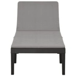 VidaXL Ligbed Met Kussen Kunststof Antracietkleurig -Tuinmeubel Winkel 1d2e3b4ef8e740ea9f23757409e96478