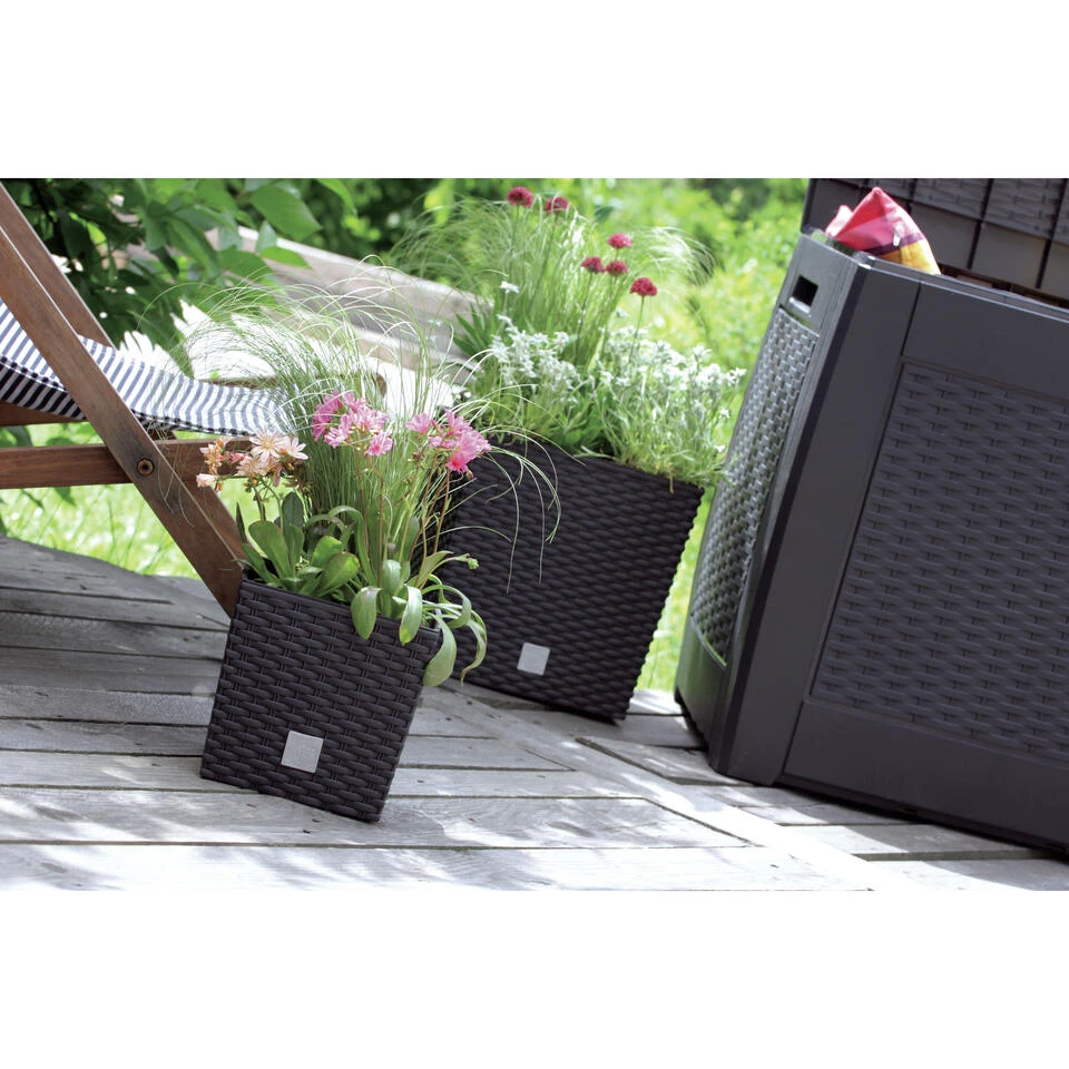 Prosperplast Plantenbak Rato - Bruin - Rotan - Kunststof - 22 Cm 4 Prosperplast Plantenbak Rato - Bruin - Rotan - Kunststof - 22 Cm - Afbeelding 2