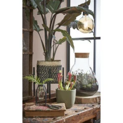 Mica Decorations Bonaparte Mand Voor Planten Ø18 Cm -Tuinmeubel Winkel 449b410e22e14ef7aff0ea0ba952dd29