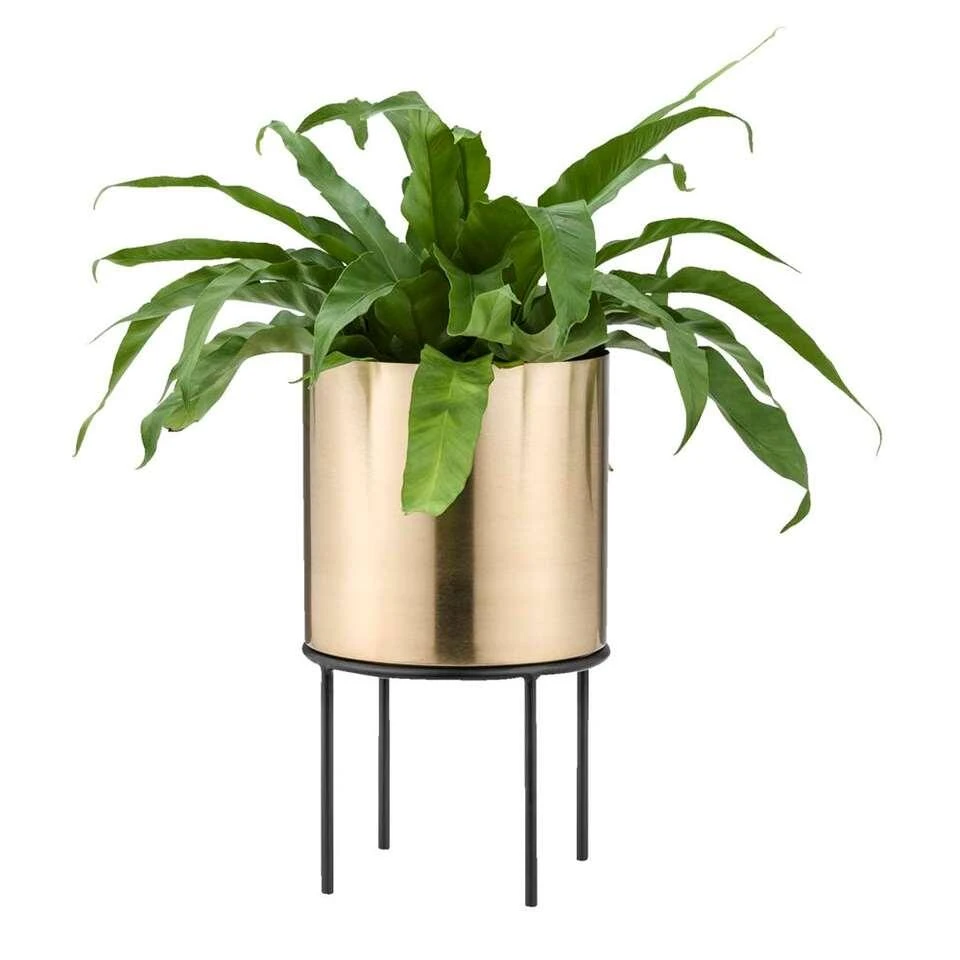 Bloempot Grieg Op Pootjes - Messingkleur - 34xØ20 Cm 4 Bloempot Grieg Op Pootjes - Messingkleur - 34xØ20 Cm - Afbeelding 2