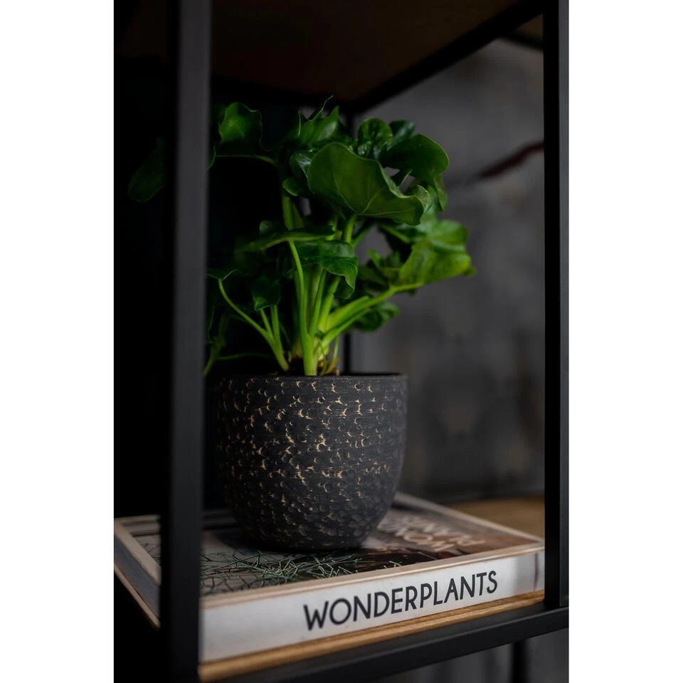 Steege Plantenpot Rinca - Zwart - Lava Look - 21 X 19 Cm 5 Steege Plantenpot Rinca - Zwart - Lava Look - 21 X 19 Cm - Afbeelding 3