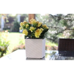 Prosperplast Plantenbak Rato - Wit - Rotan - Kunststof - 26 Cm -Tuinmeubel Winkel cc65bddf97a4435c9fca58cf896b02be