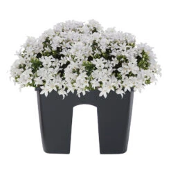 Nieuwkomers -Tuinmeubel Winkel ed5d93d10097496a88089ae90063c150