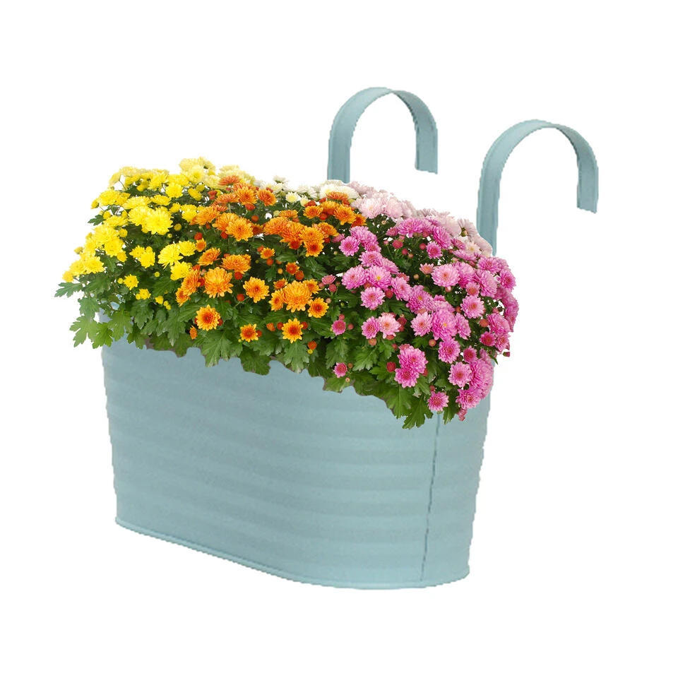 Decoris Plantenbak - Ophangbaar - Zink - Lichtblauw - 32 X 16 Cm 4 Decoris Plantenbak - Ophangbaar - Zink - Lichtblauw - 32 X 16 Cm - Afbeelding 2