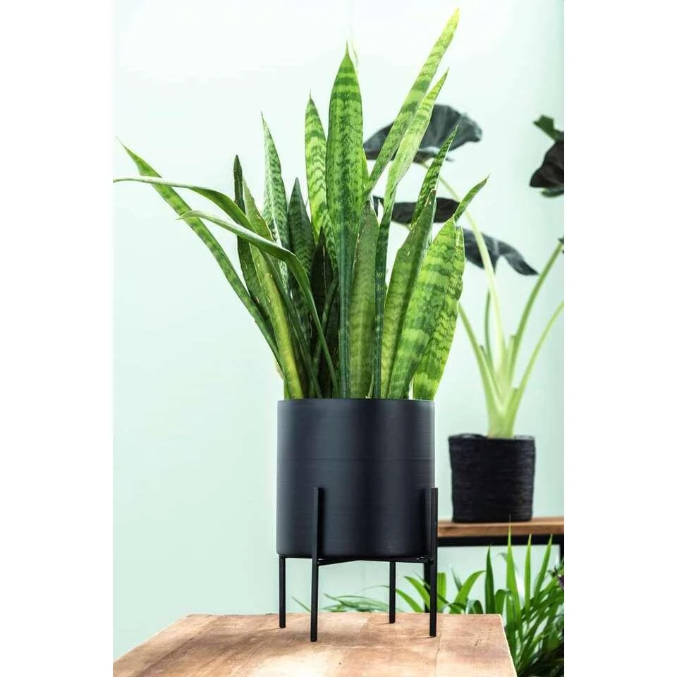 Bloempot Op Pootjes Niek - Zwart - 12/18xØ12,5 Cm 5 Bloempot Op Pootjes Niek - Zwart - 12/18xØ12,5 Cm - Afbeelding 3